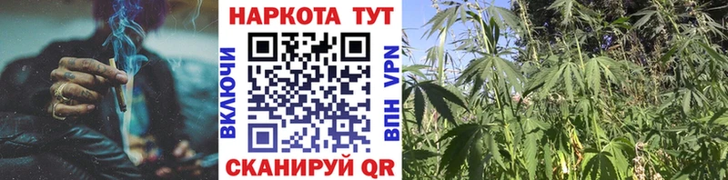 Купить наркотик аптеки Малгобек omg рабочий сайт  Амфетамин  ГАШ  A PVP  Канабис 