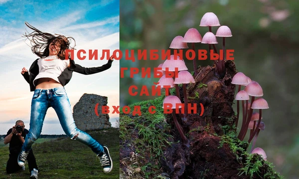 винт Мегион
