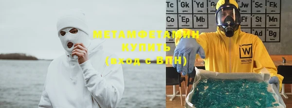 шишки Сатка