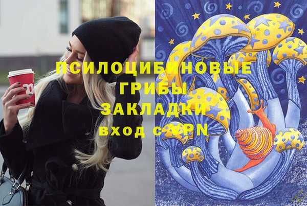 мдпв Медногорск