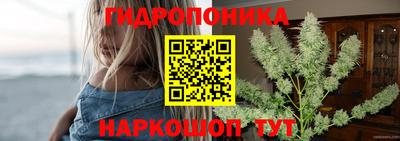 тгк Краснодар