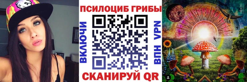Псилоцибиновые грибы MAGIC MUSHROOMS  продажа наркотиков  Малгобек 