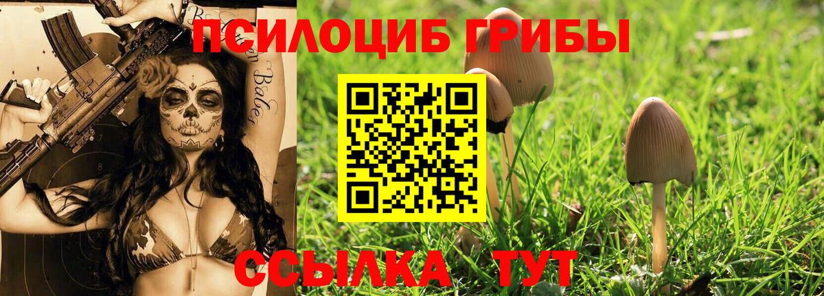 Малгобек  Галлюциногенные грибы MAGIC MUSHROOMS  Вход с VPN 
