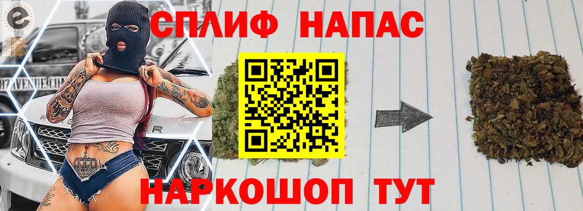 МАРИХУАНА планчик  МАРИХУАНА семена  Малгобек  МАРИХУАНА THC 21% 